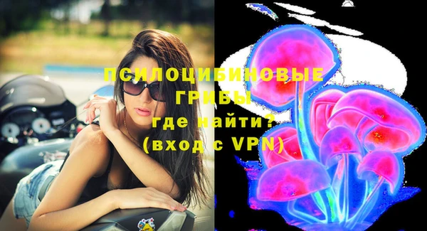 индика Вязники