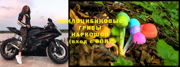 индика Вязники